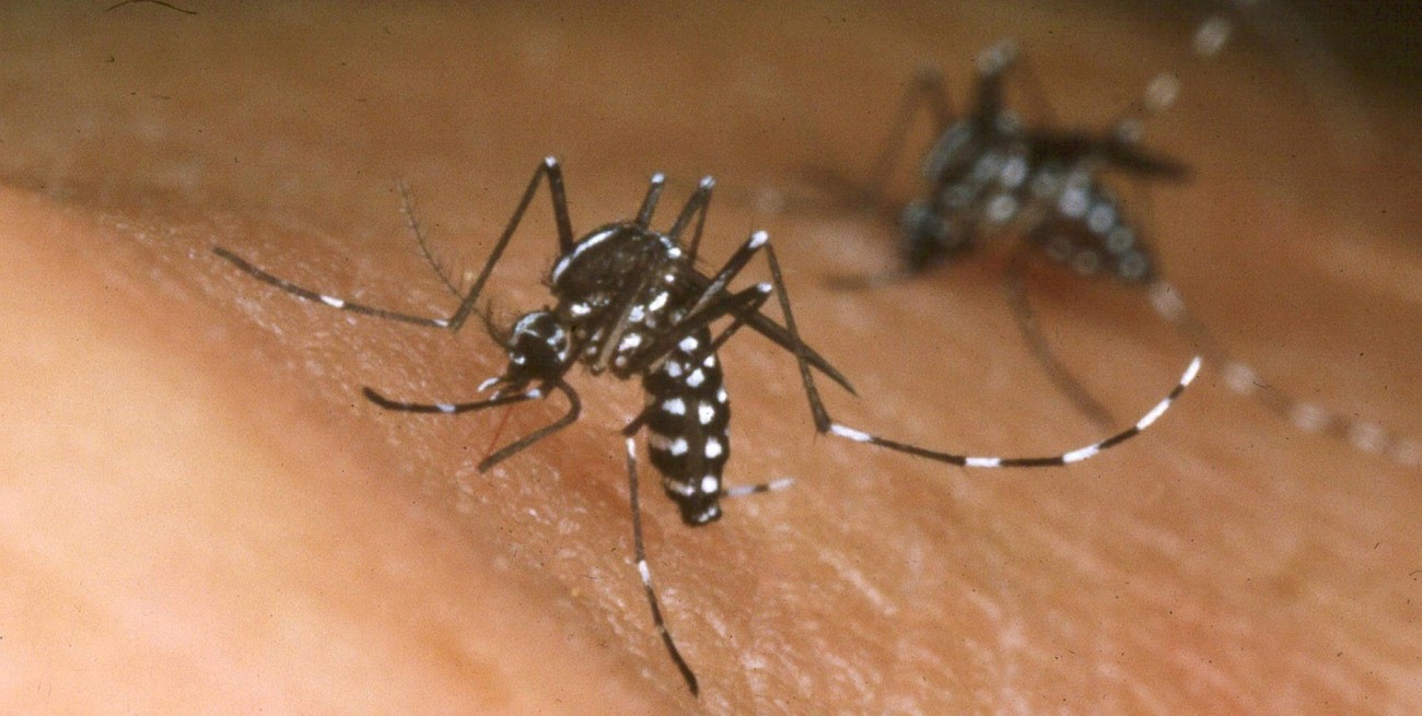 En medio del brote en el norte santafesino, confirman dos casos de dengue en el sur provincial