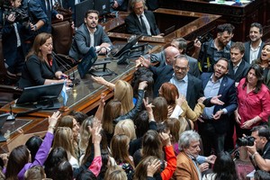 El último intento de sesión en la Cámara de Diputados nacional fue el 21 de diciembre. Y fue un verdadero escándalo.  Crédito: Noticias Argentinas.