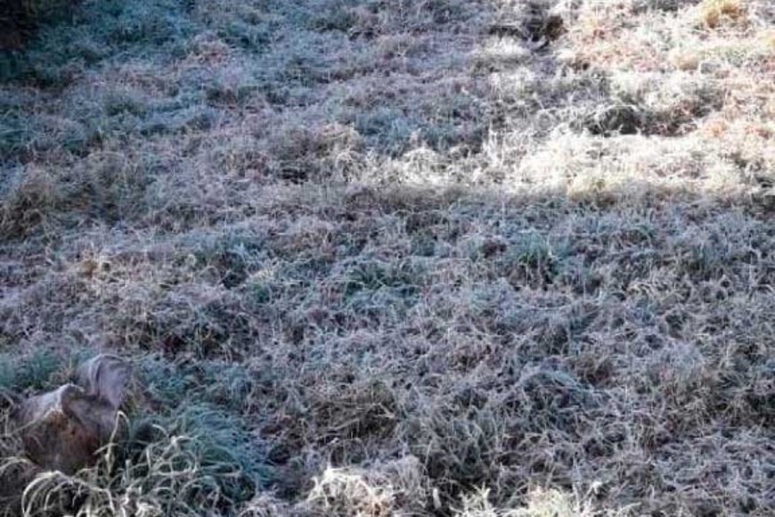 Heladas en Cordoba en pleno febrero