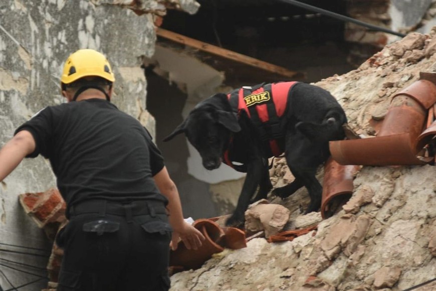 Créditos: Mauricio Garin