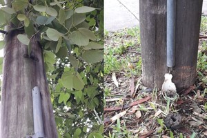 Debido a esta situación gran parte de los vecinos de la zona quedaron sin el servicio de telefonía fija.