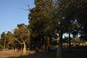 Imagen ilustrativa. Crédito: Archivo El Litoral