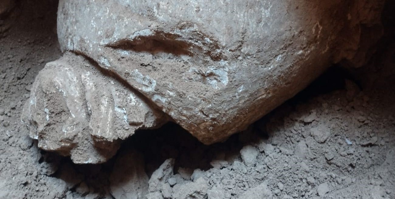 En Las Petacas: construían un plan de viviendas y encontraron un fósil