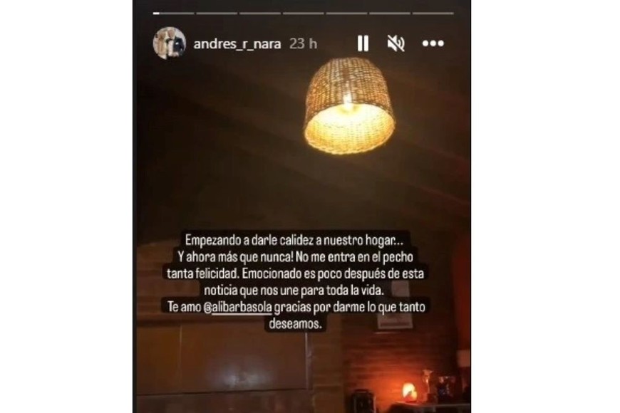 Andrés Nara contó desde su Instagram que va a ser nuevamente papá.