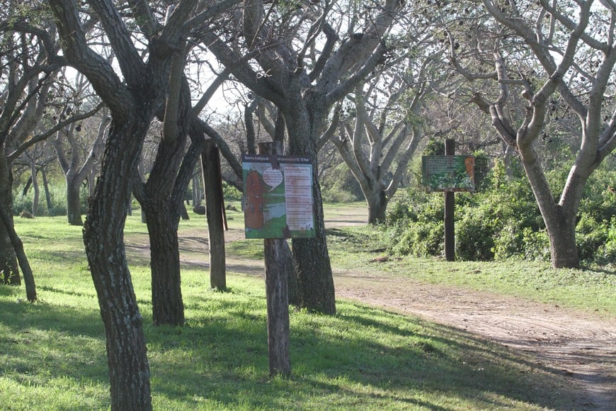 La reserva está ubicada al norte de la Ciudad Universitaria, junto al Predio UNL-ATE y frente a la laguna Setúbal. Gentileza