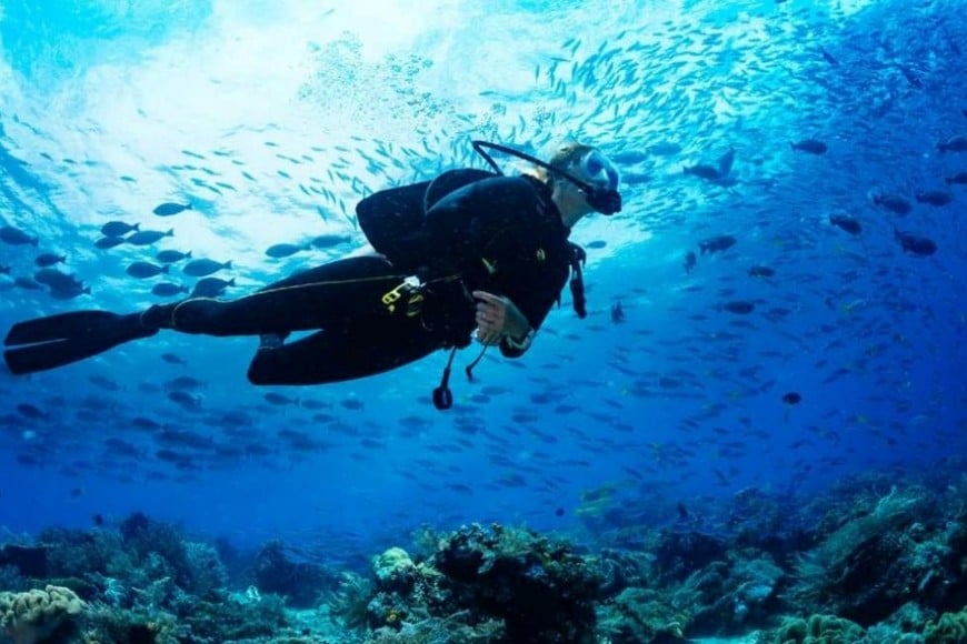 Basora es uno de los puntos con mayor riqueza en el agua y coexistencia de especies. Crédito: Weekend