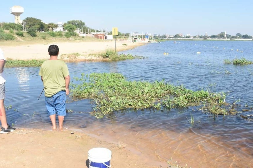 Crédito: Guillermo Di Salvatore