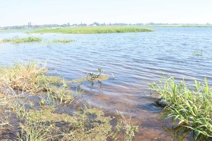 Crédito: Guillermo Di Salvatore