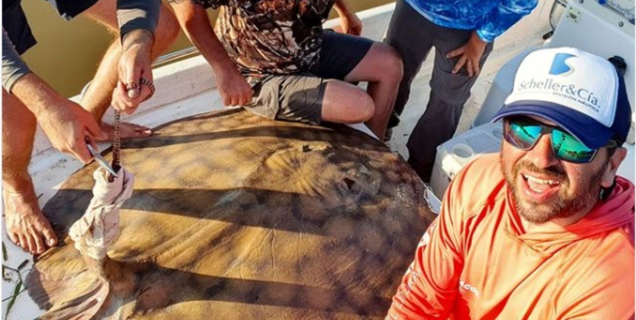 En Corrientes atraparon una raya de 100 kilos