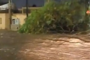 Desastre. “Se llevó un árbol” dice un usuario en Twitter. Habla del temporal que cayó durante la noche del lunes en Río Cuarto, Córdoba.