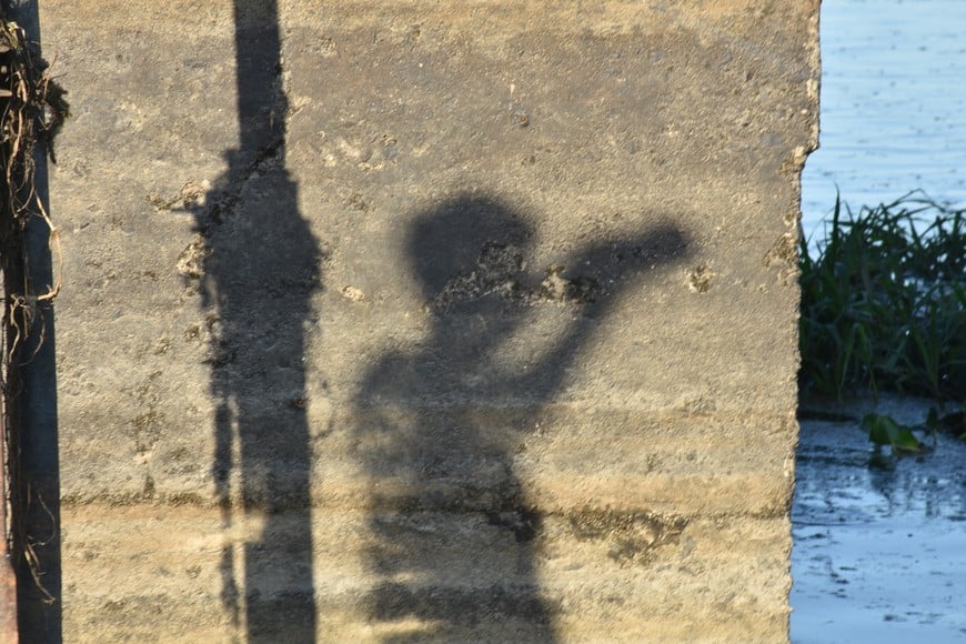 Este verano se siente en Santa Fe el calor extremo. Mauricio Garín.