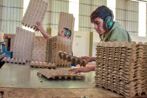 Imagen ilustrativa. Crédito: NA