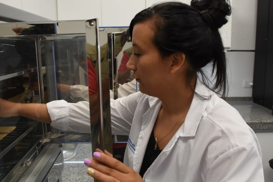 El Laboratorio está ubicado en el predio del ex liceo Militar General Belgrano. Créditos: Mauricio Garín