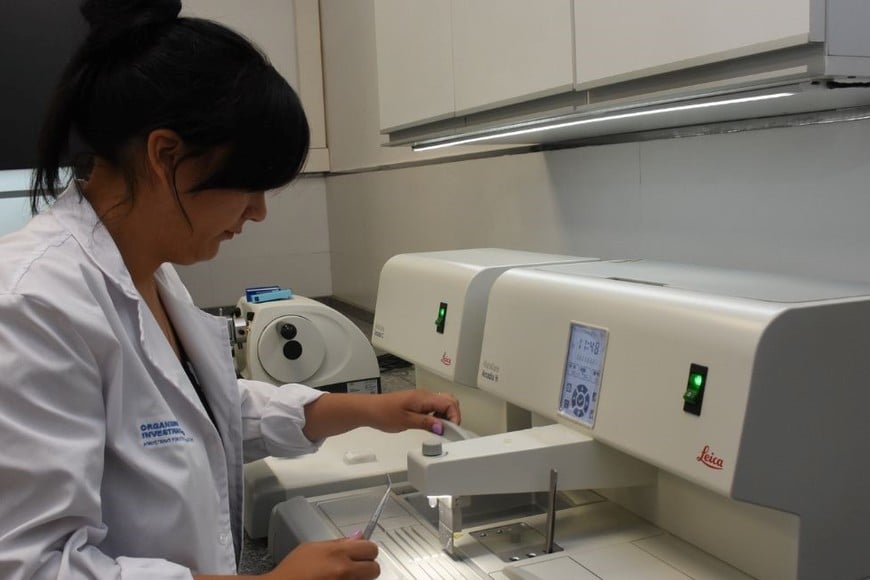 Créditos: Mauricio Garín