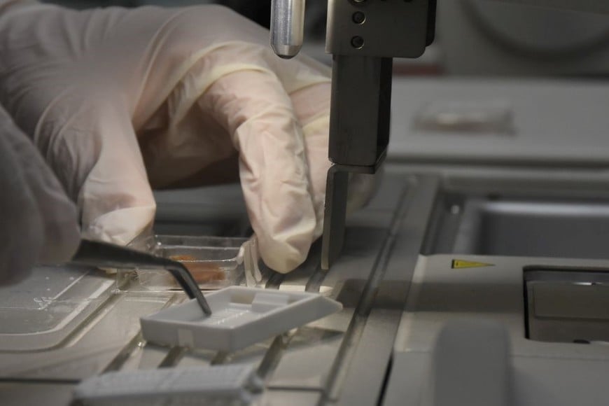 Permitirá descentralizar prácticas fundamentales para las investigaciones. Créditos: Mauricio Garín