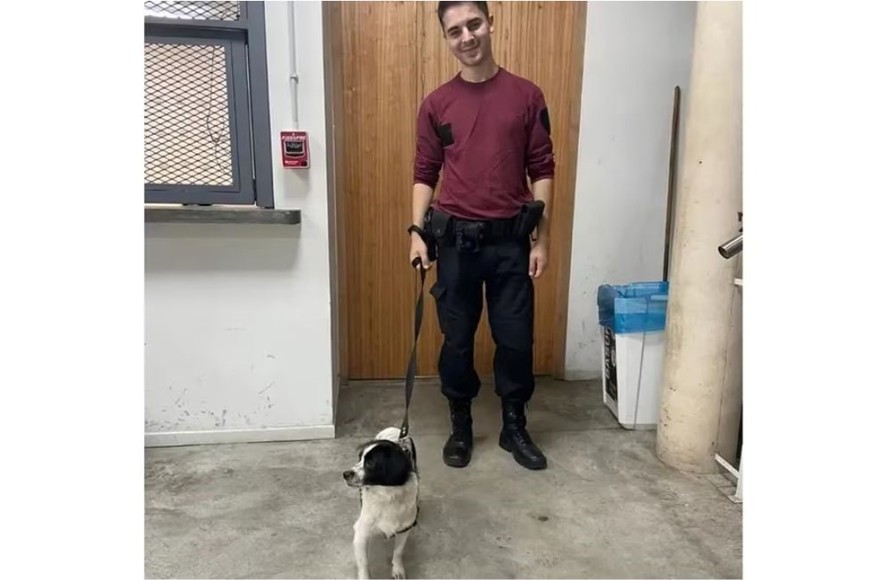 Ya tiene una nueva familia.