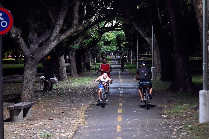 Por estos días el parque estrena nueva luminaria en los senderos y la ciclovía.