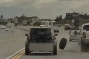 El hecho fue captado por la cámara del Tesla del usuario de Twitter Anoop.