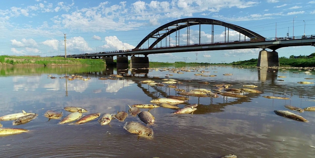 Por el alto grado de contaminación del río Salado la Defensoría del Pueblo pide explicaciones