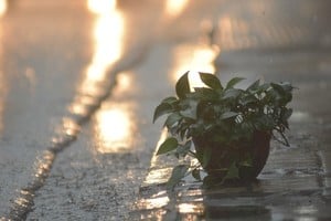 Imagen ilustrativa. Crédito: Mauricio Garín / Archivo El Litoral