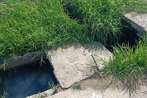 Agua estancada en la puerta de sus casas. Así están varios domicilios hoy en calle Pavón al 3900. Crédito: El Litoral.