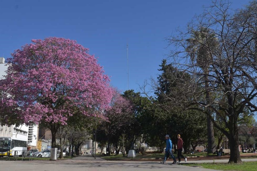Se esperaban buenas condiciones en el tiempo. Crédito: Mauricio Garín