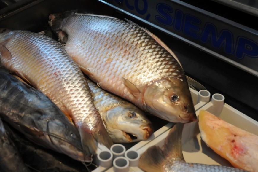 El pescado de río es lo más consumido por los santafesinos a la hora de celebrar Semana Santa. Crédito: Guillermo Di Salvatore / Archivo El Litoral