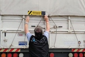 Más de 100 toneladas de granos que eran transportadas en cuatro camiones de manera irregular en el sur de Santa Fe. Crédito: Prensa AFIP.