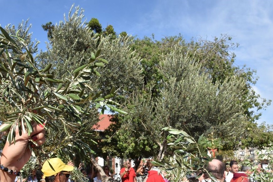 La Semana Santa, comienza en el Domingo de Ramos. Crédito: Flavio Raina.