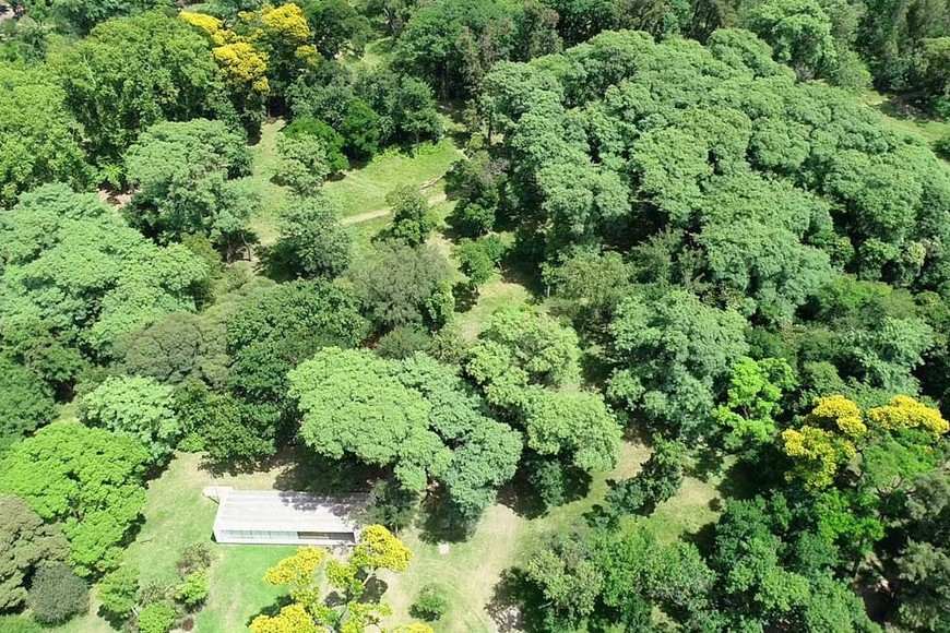 Las acciones de adaptación, como la ampliación de los espacios verdes urbanos, tienen el potencial de reducir los impactos sanitarios relacionados con el clima y promover la salud y el bienestar. Crédito: Fernando Nicola