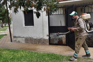 El municipio santafesino realiza tareas de bloqueo y descacharrado para prevenir el dengue