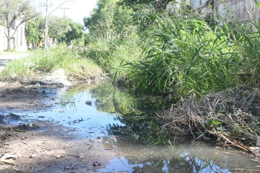 dengue general lópez 3800