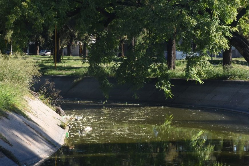 dengue parque garay lago basura