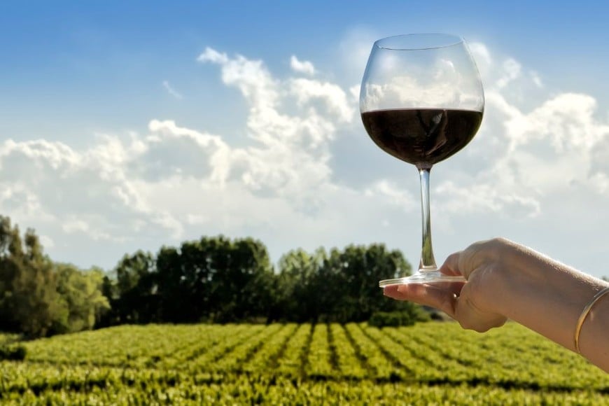 El Malbec es una variedad de uva de origen francés