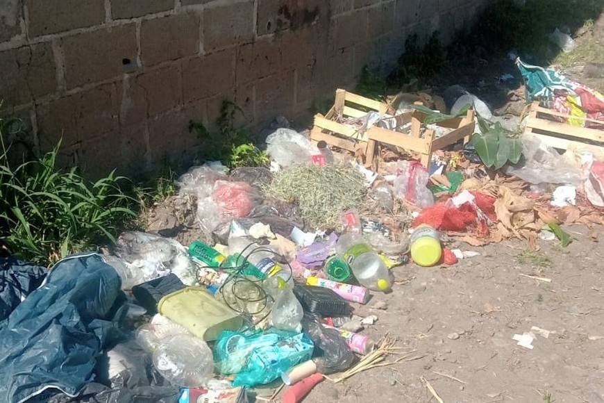 dengue basural galicia y vías