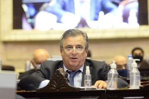 El jefe de bloque de la Unión Cívica Radical, Mario Negri fue uno de los primeros en reaccionar al anuncio. Crédito: Archivo.