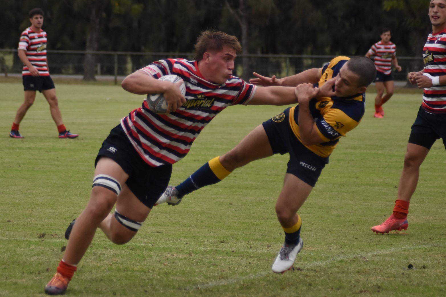 Triunfo de Santa Fe Rugby ante Gimnasia y Esgrima de Rosario Foto Luis Cetraro