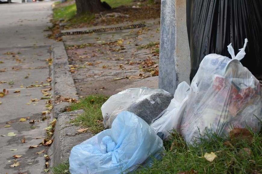 La medida afectaba la recolección no así el barrido. Crédito: Flavio Raina
