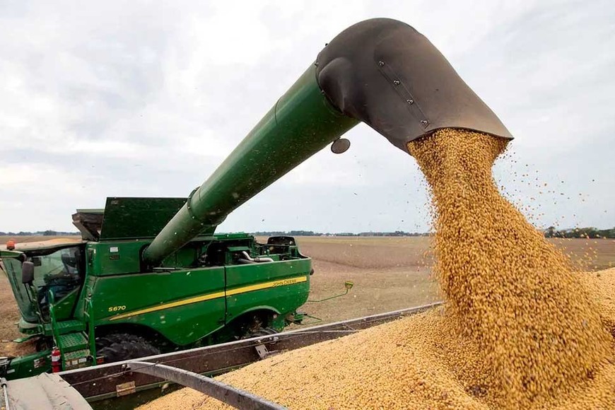 La harina de soja es el producto principal que se exporta desde Santa Fe a Vietnam