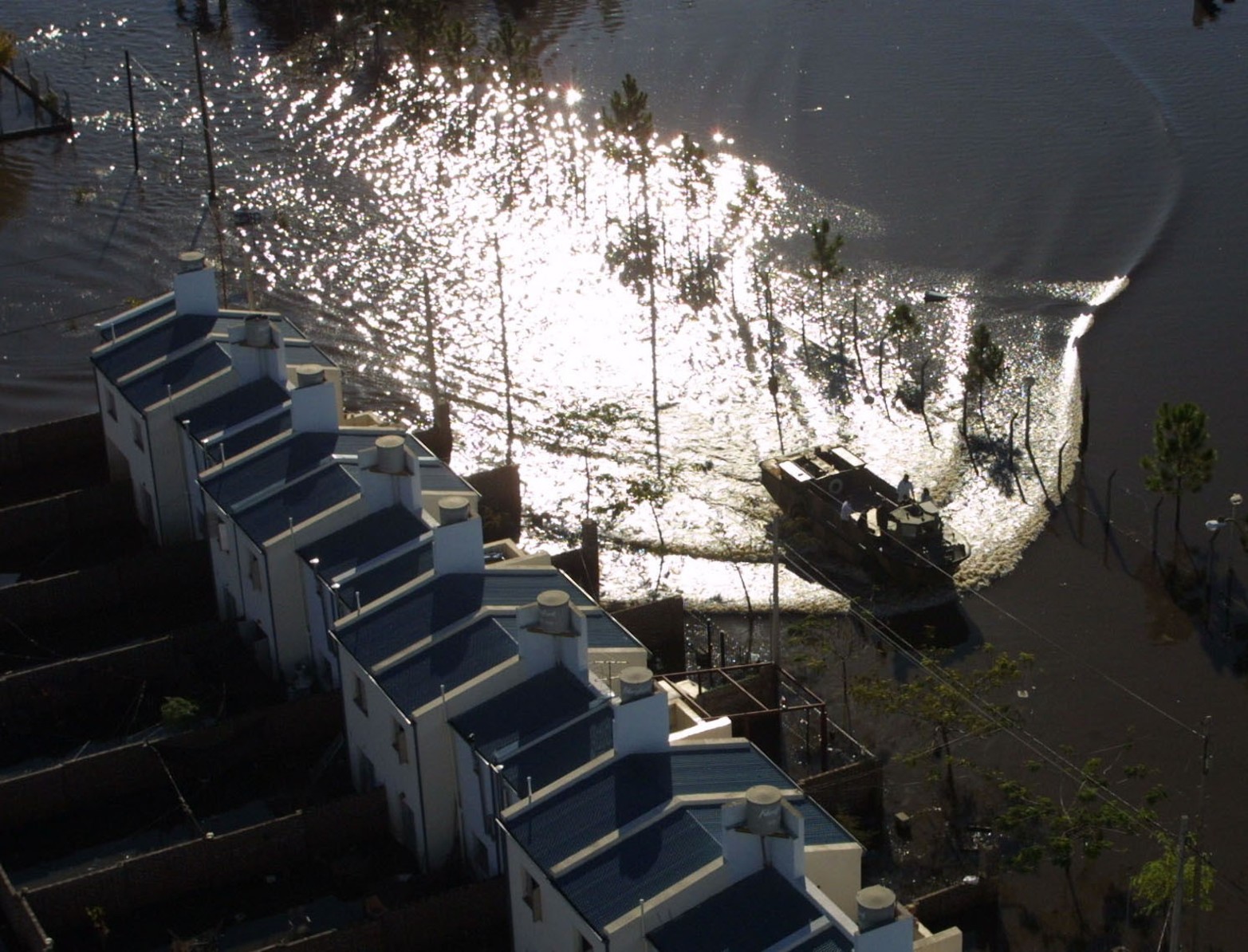 Un anfibio recorre la zona de barrio La Florida.