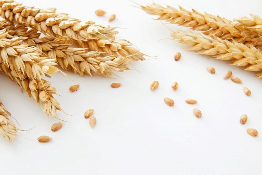 Todos los medicamentos deberán identificarse en función de su contenido