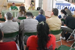 Convocado por el gobierno provincial, el encuentro fue encabezado por el director provincial de Bosques, Fernando Aiello; el director nacional de Bosques del Ministerio de Ambiente y Desarrollo Sostenible de la Nación, Martín Mónaco, y el subsecretario provincial de Desarrollo Ecosistémico, Roque Chavez.