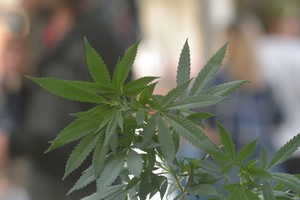 Imagen ilustrativa. Crédito: Mauricio Garín