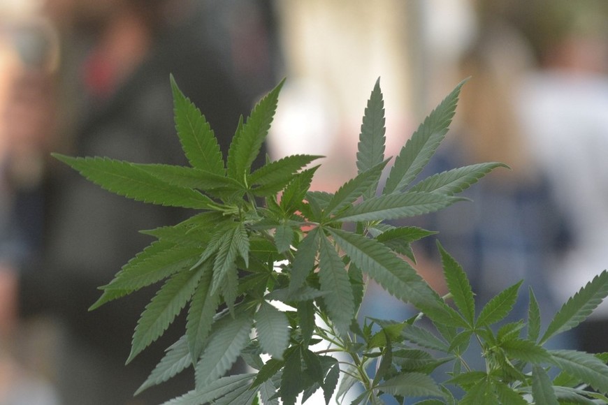 Imagen ilustrativa. Crédito: Mauricio Garín