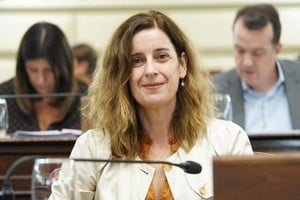 Erica Hynes presentó un pedido de informes al Poder Ejecutivo sobre la implementación de la ley 27642
