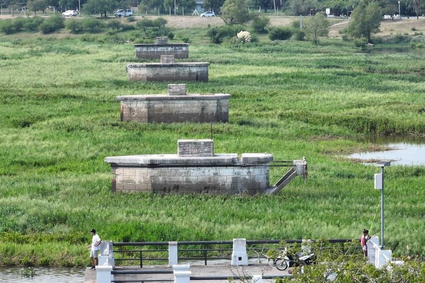 La "pared verde" impide el paso en el espejo de agua santafesino. Crédito: Fernando Nicola