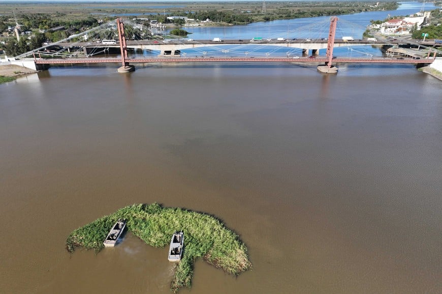 Embalsados Setubal . Crédito: Fernando Nicola