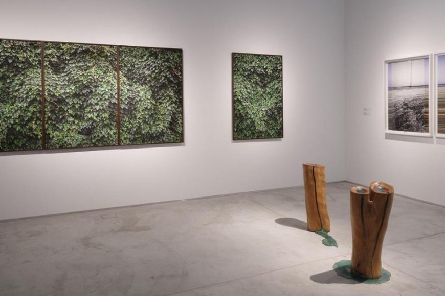 Foto: Federico Lo Bianco