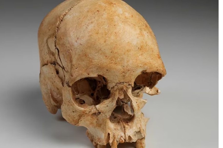 Es un paso más en la investigación sobre los orígenes de la población brasileña