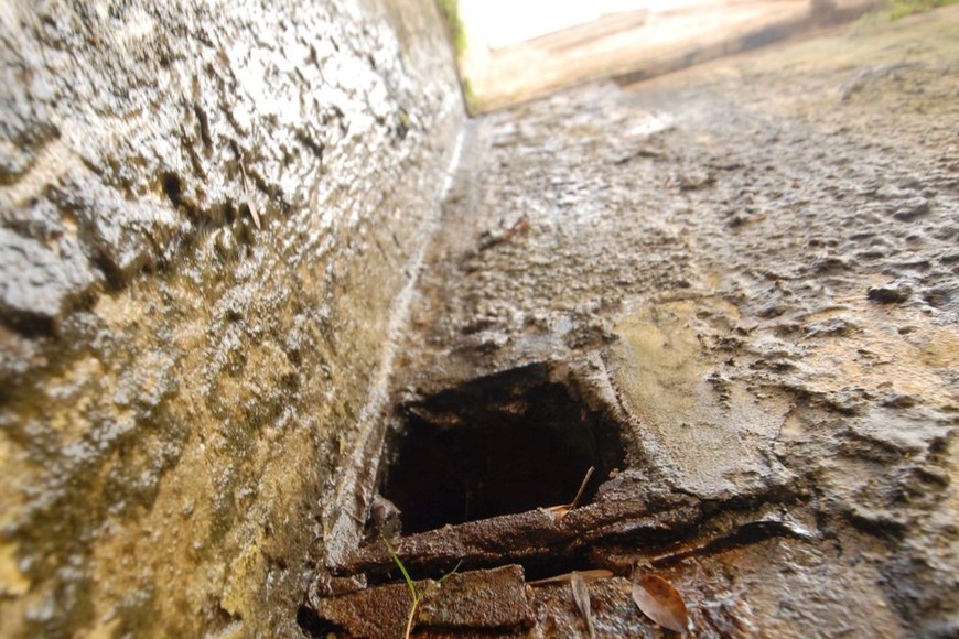 "Paredes de agua". La humedad ganó cada rincón de los monoblocks y los vecinos ya no saben qué hacer para combatirla. Foto: Mauricio Garín